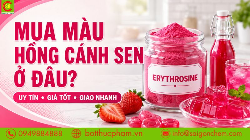 Mua Màu Hồng Cánh Sen Ở Đâu Uy Tín, Giá Tốt Tại TP.HCM?
